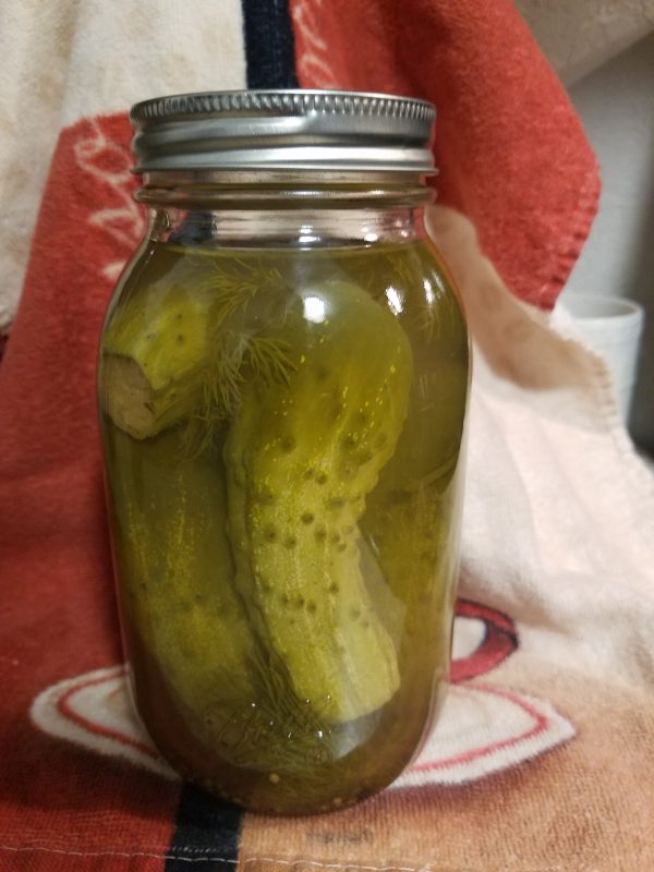Whole Dill Pickles Quart Essential Prairie