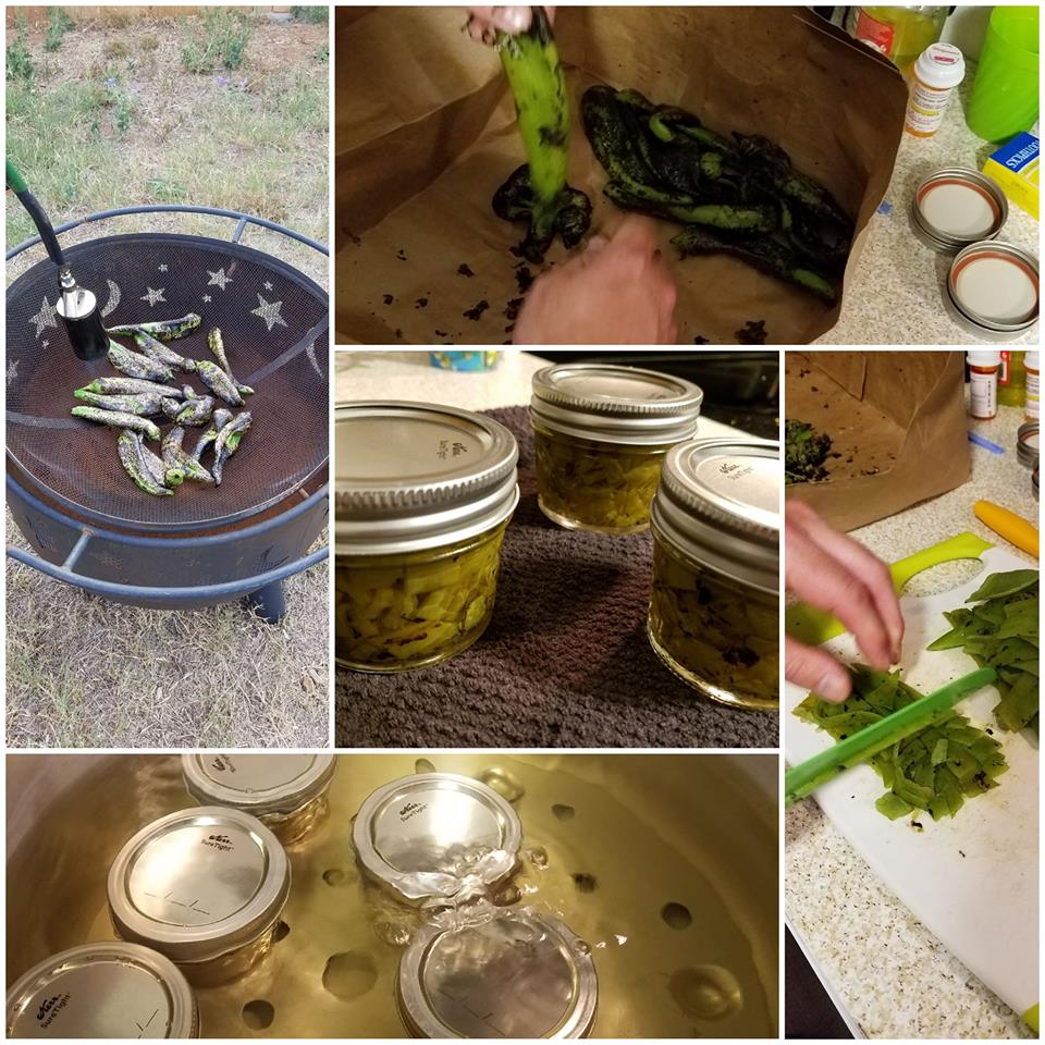 Canning Anaheim Peppers Essential Prairie